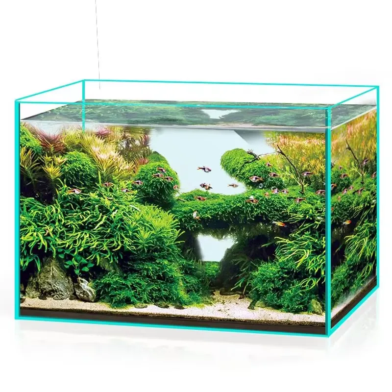 Aquarium Marine Clearwater - Ultraheldere glazen aquarium voor vis, op