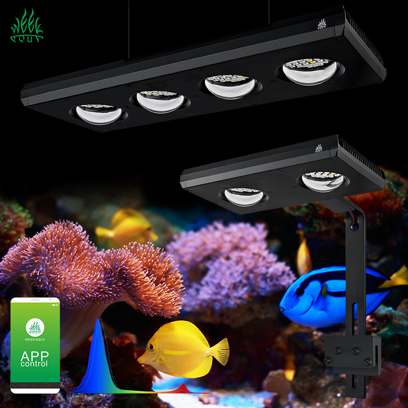 Aquarium Blue Marine - ZXY Hot Koop WEEKAQUA Z250 Z400sea
