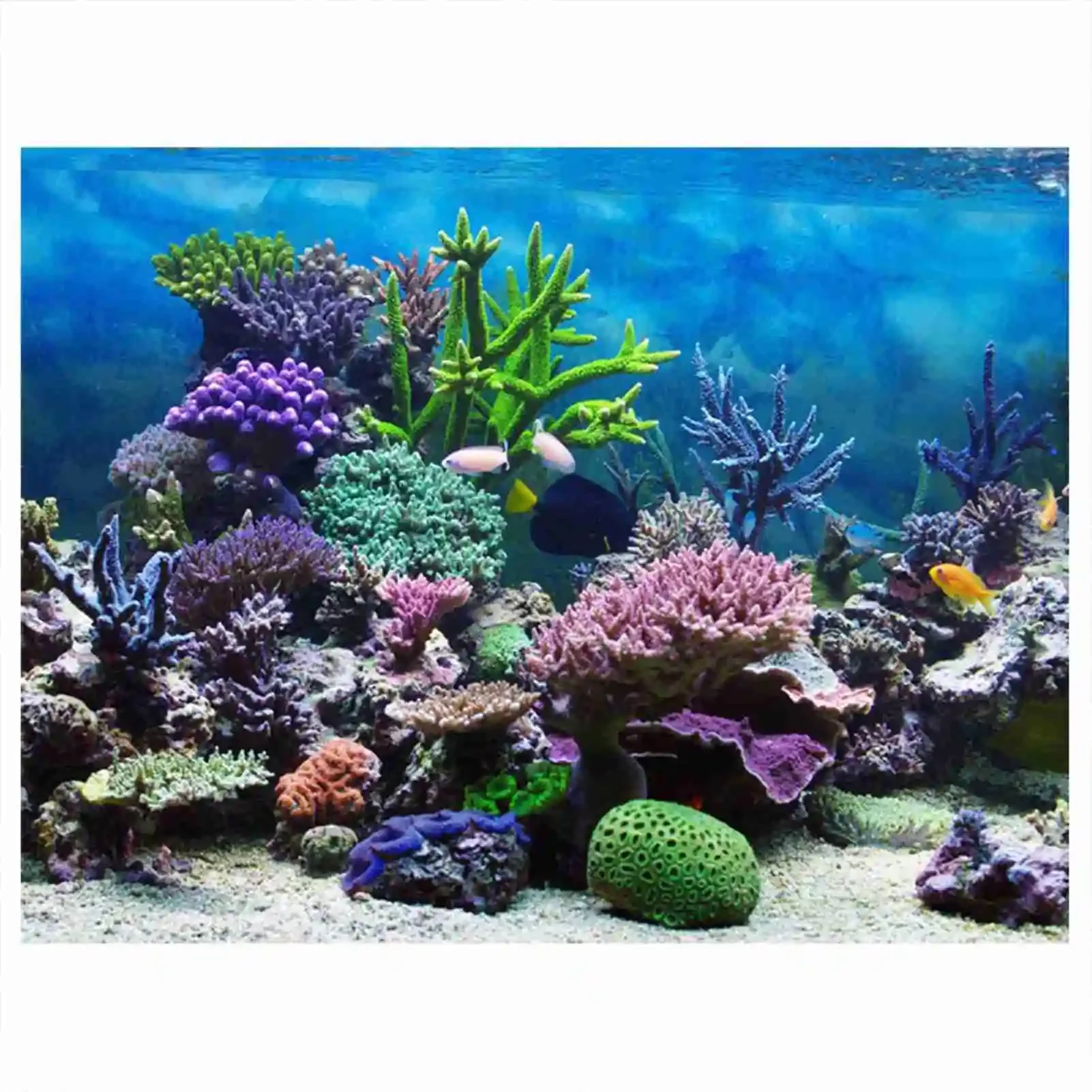 Marine Aquarium Glue - 3d Aquarium Landschap Poster Regenwoud Behang