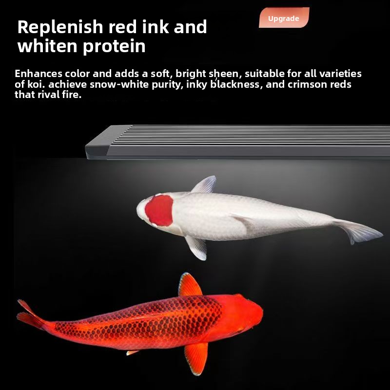 Aquarium Marine Clearwater - LED aquariumverlichting voor visbakken met maritiem