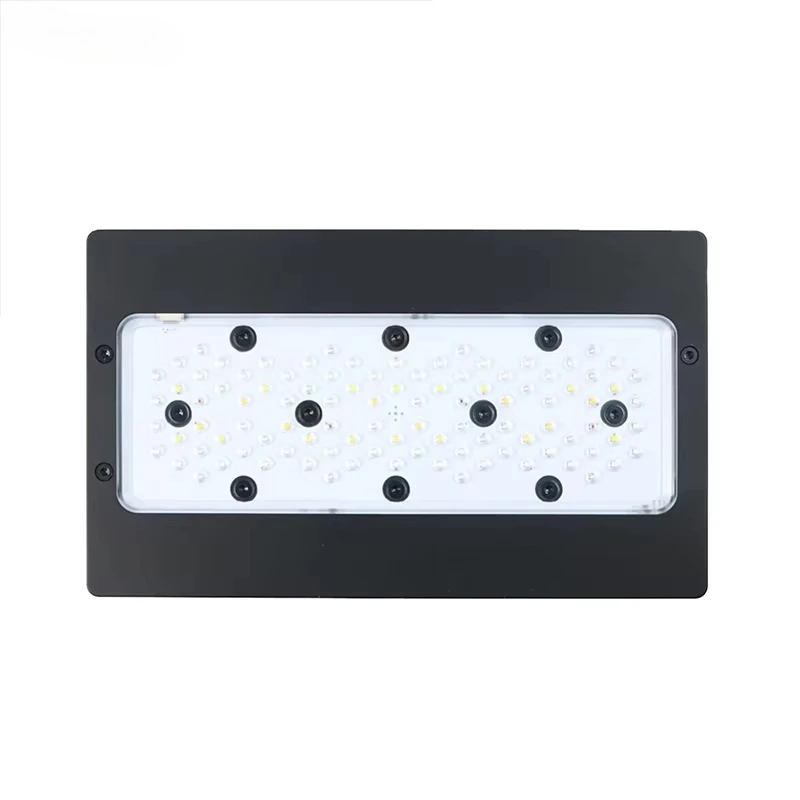 Aquarium Blue Marine - A8Pro Max/Blauw 240W CREE LED Rifflicht