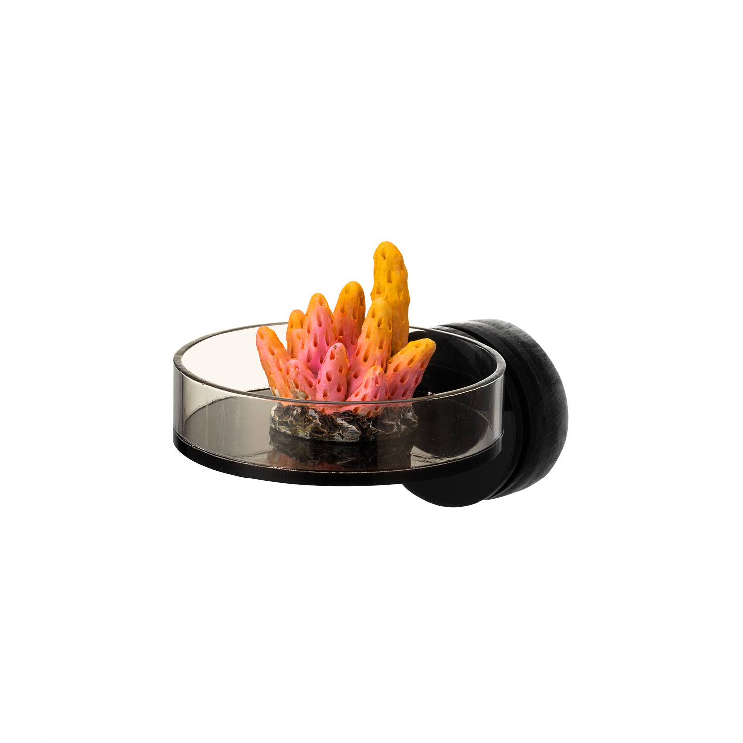 Aquarium And Marine - Marine Sources 70 mm zwart magnetisch
