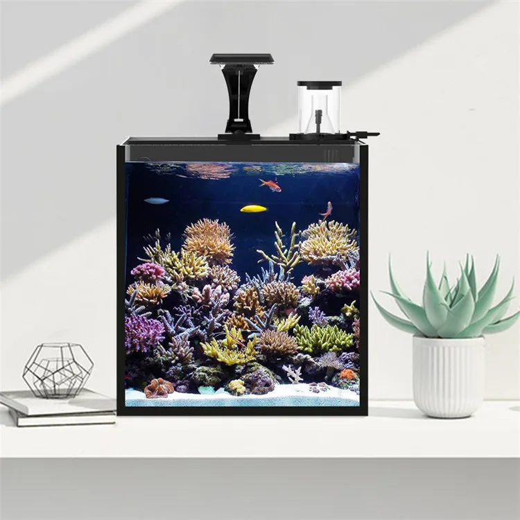 Nieuwste model helder glas min - Aquarium Marine Clearwater recensie en prijs