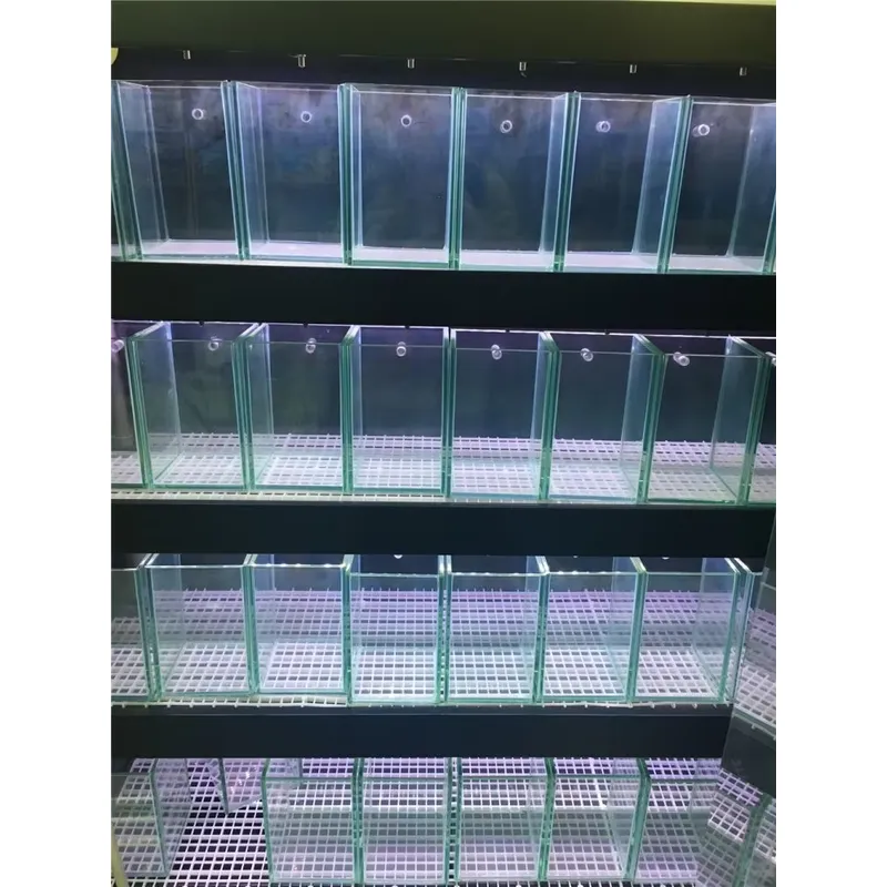Ultraheldere glazen aquarium v - Aquarium Marine Clearwater recensie en prijs
