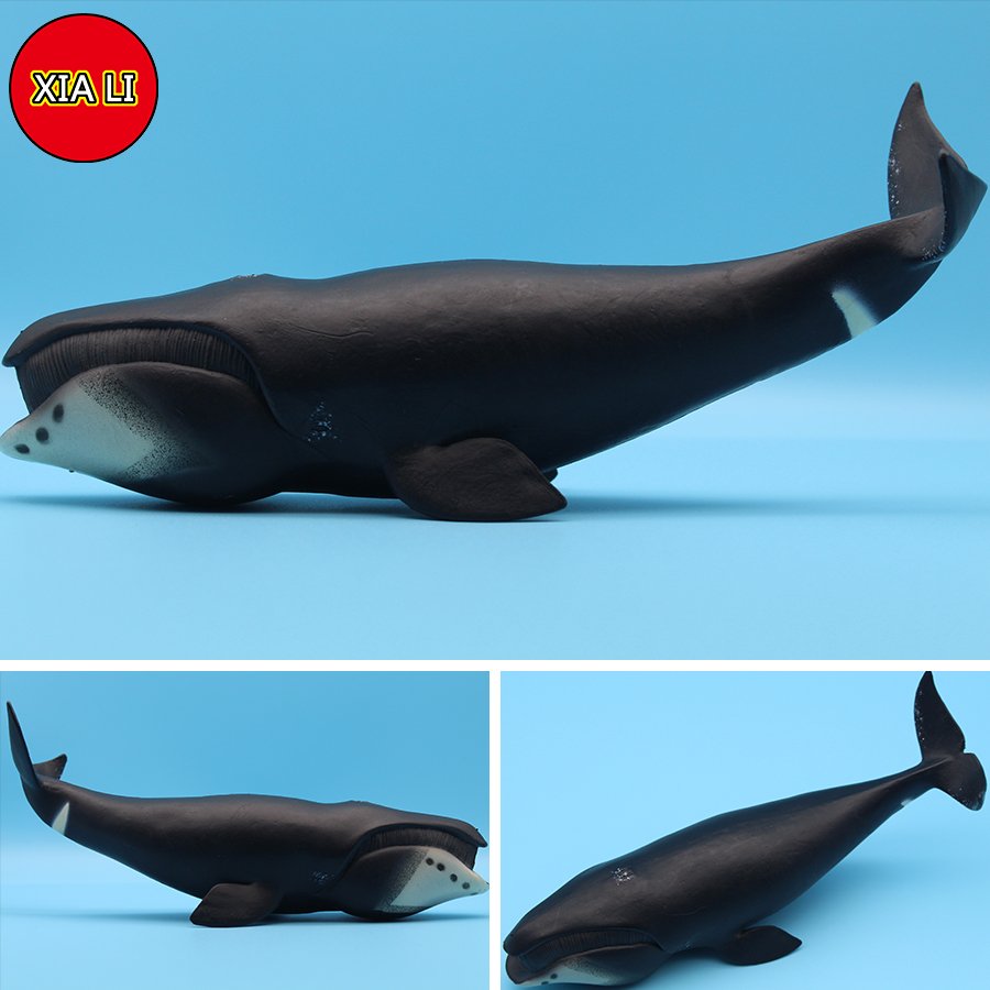 Ocean Sea Life Simulatie Orka  - Aquarium Blue Marine recensie en prijs