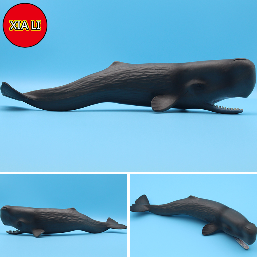 Ocean Sea Life Simulatie Orka  - Aquarium Blue Marine recensie en prijs