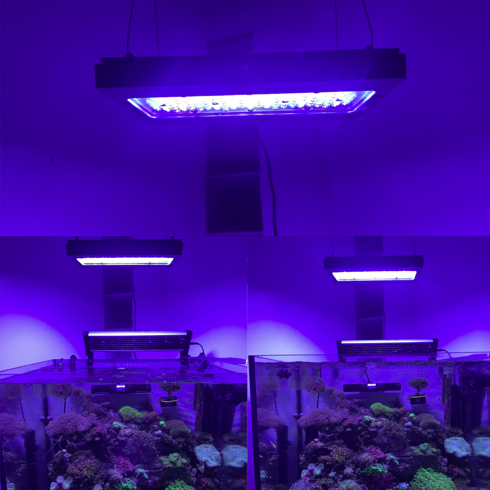 A8se Pro III MAX Blue 240W Mar - Aquarium Blue Marine recensie en prijs