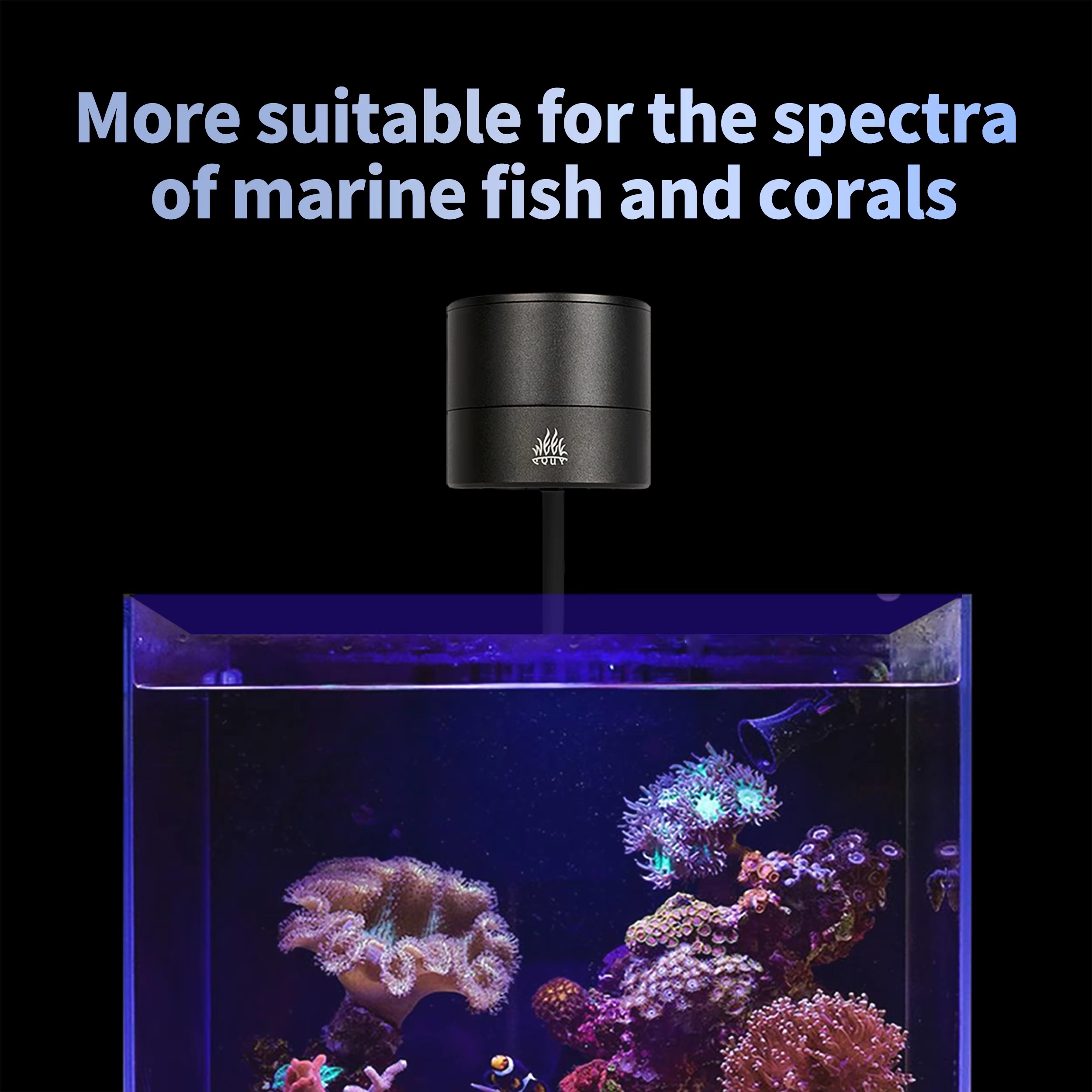 WEEK AQUA Aquariumverlichting  - Aquarium Blue Marine recensie en prijs