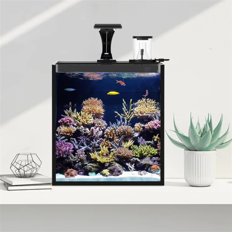 Ultraheldere glazen mini-zoutw - Aquarium Marine Clearwater recensie en prijs