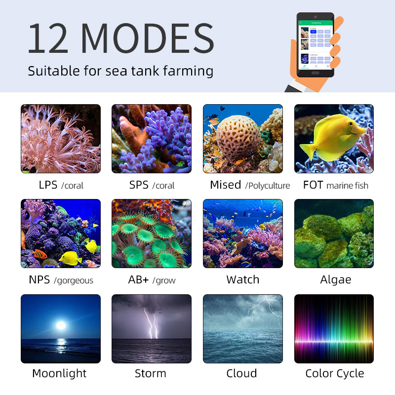 ZXY Hot Koop WEEKAQUA Z250 Z40 - Aquarium Blue Marine recensie en prijs