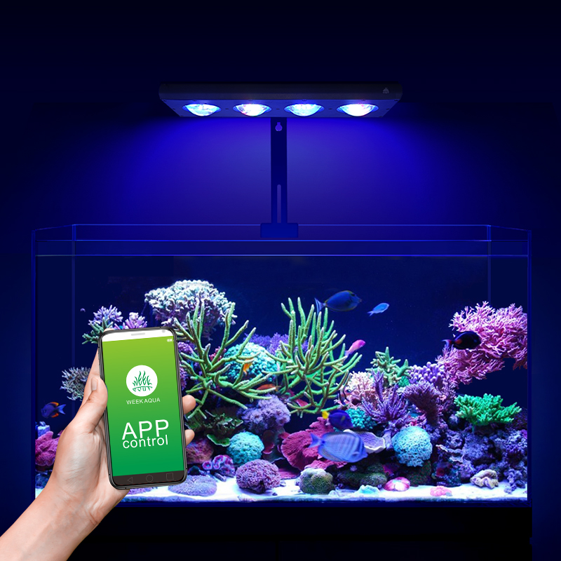 ZXY Hot Koop WEEKAQUA Z250 Z40 - Aquarium Blue Marine recensie en prijs