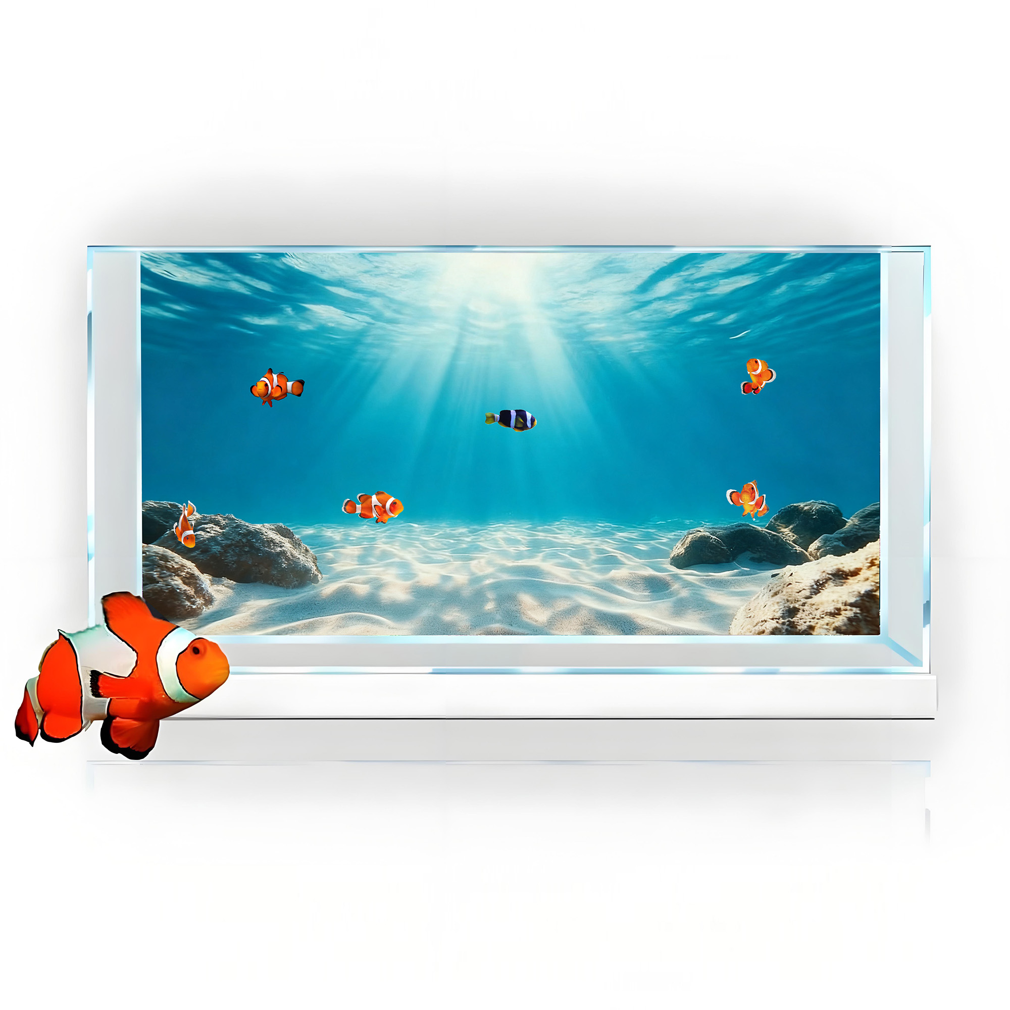 Blauwe zee, helder zand, achte - Marine Aquarium Glue recensie en prijs