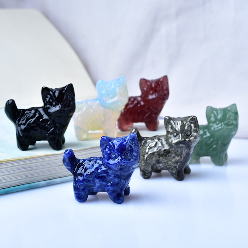 1 Stuk Kitten Snijwerk Stuk De - Marine Aquarium Hobby recensie en prijs