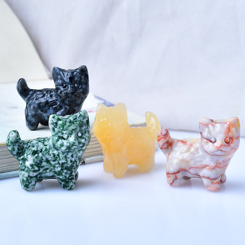1 Stuk Kitten Snijwerk Stuk De - Marine Aquarium Hobby recensie en prijs