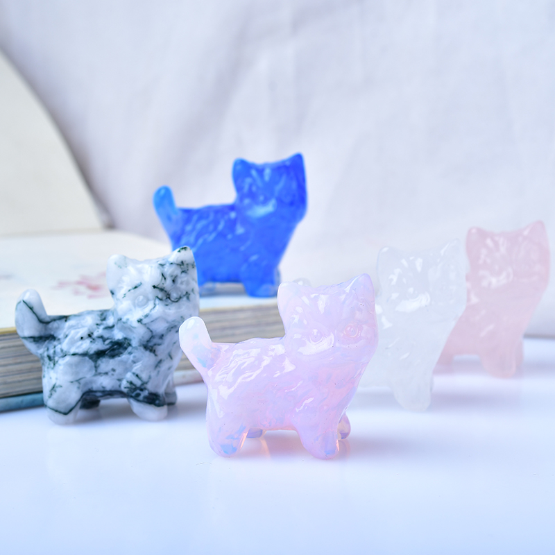 1 Stuk Kitten Snijwerk Stuk De - Marine Aquarium Hobby recensie en prijs