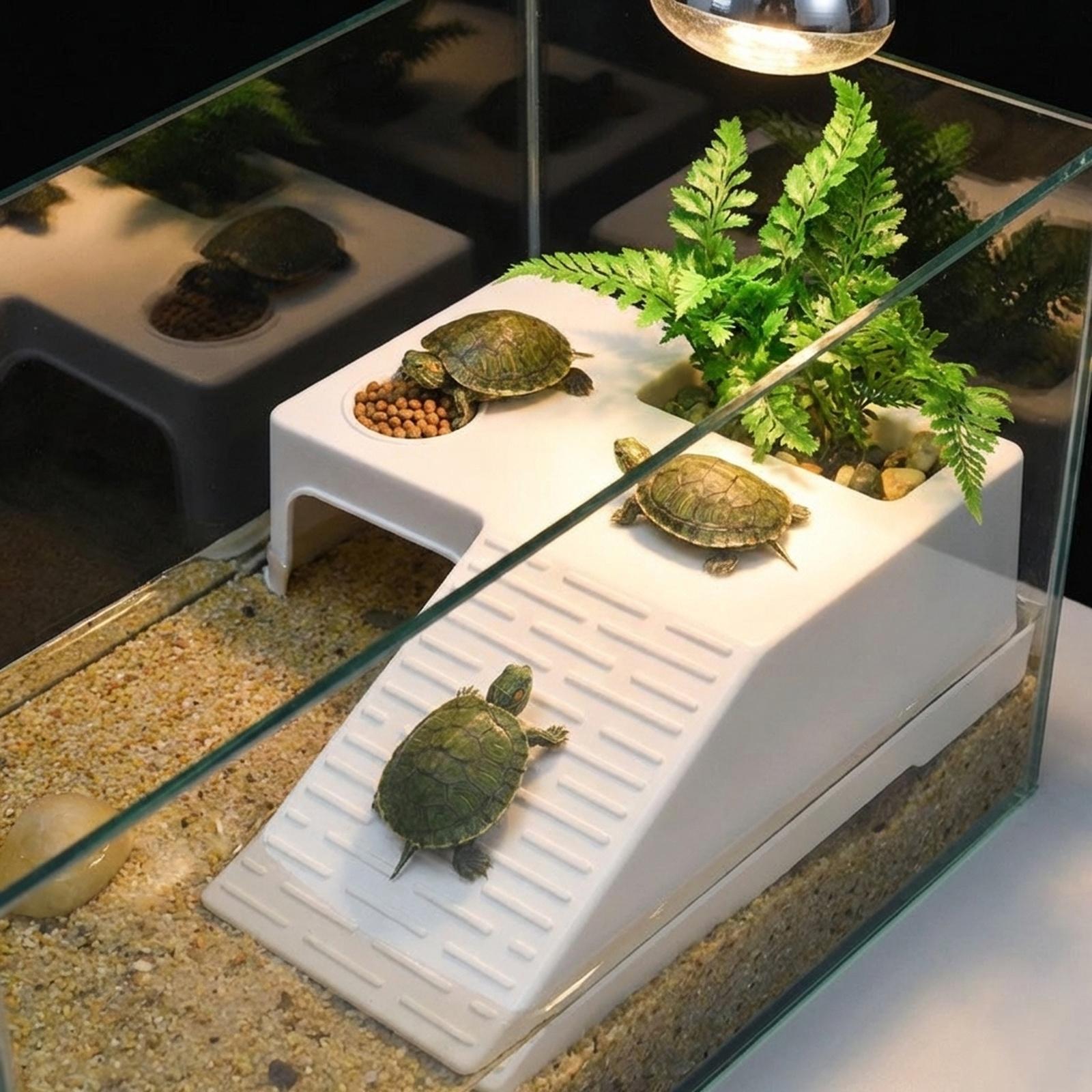 Schildpad Rustplatform Rustter - Marine Aquarium Hobby recensie en prijs