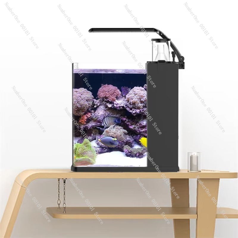 Ultraheldere glazen mini-zoutw - Aquarium Marine Clearwater recensie en prijs