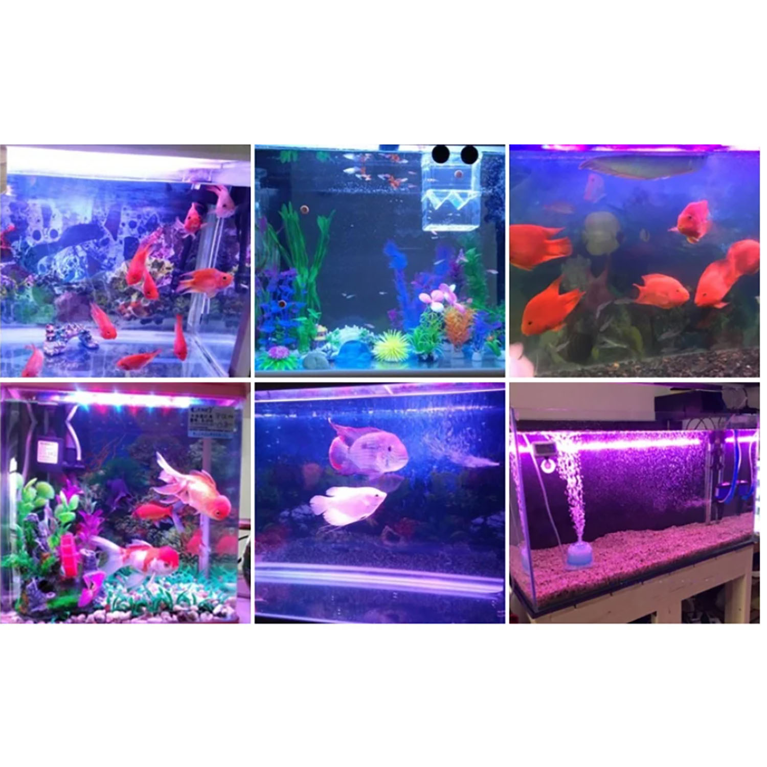 50W 60W 70W 100W RGB 26-28V Ho - Aquarium Blue Marine recensie en prijs