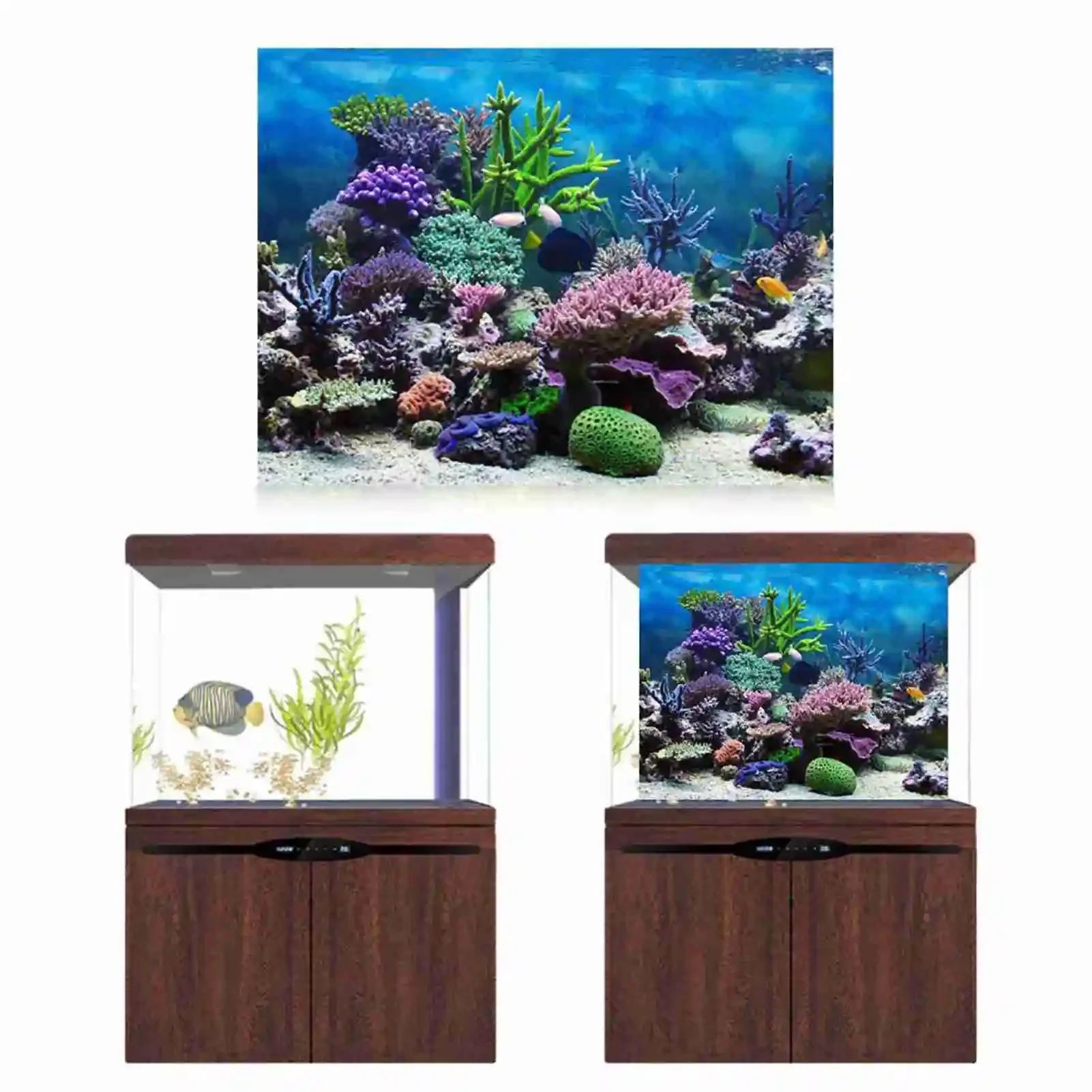3d Aquarium Landschap Poster R - Marine Aquarium Glue recensie en prijs