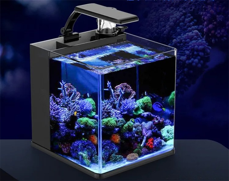 Ultraheldere glazen mini-zoutw - Aquarium Marine Clearwater recensie en prijs