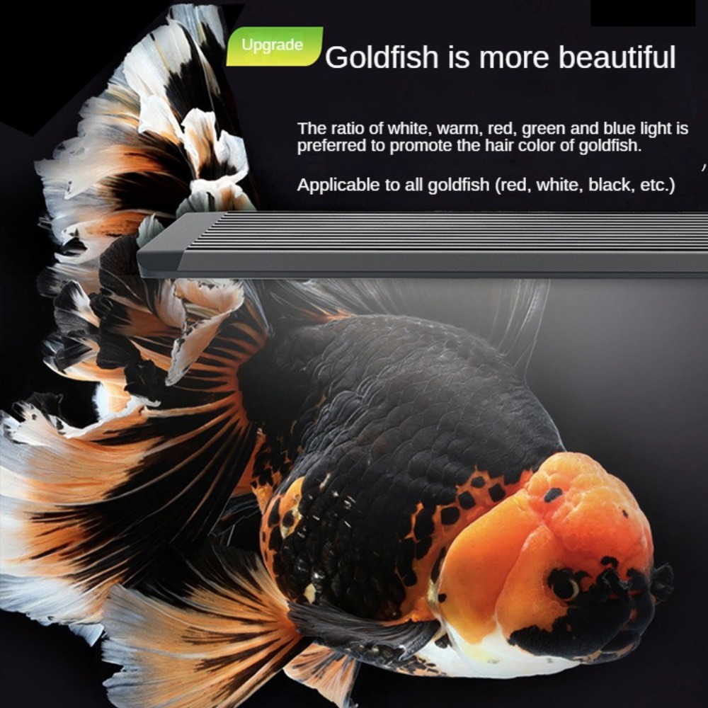 Aquariumverlichting met optisc - Aquarium Marine Clearwater recensie en prijs