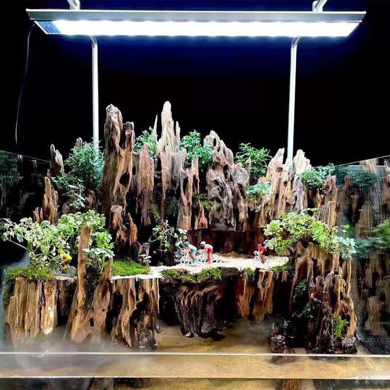 △   Garnalenhout aquariumdecor - Marine Aquarium Hobby recensie en prijs
