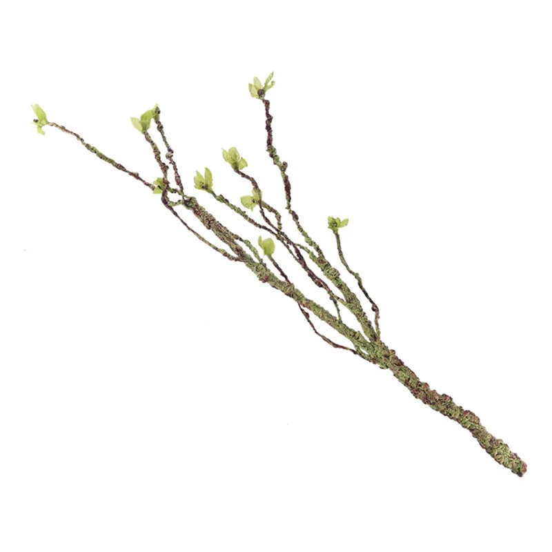 Wijnstokken Decor Klimtakken H - Marine Aquarium Hobby recensie en prijs