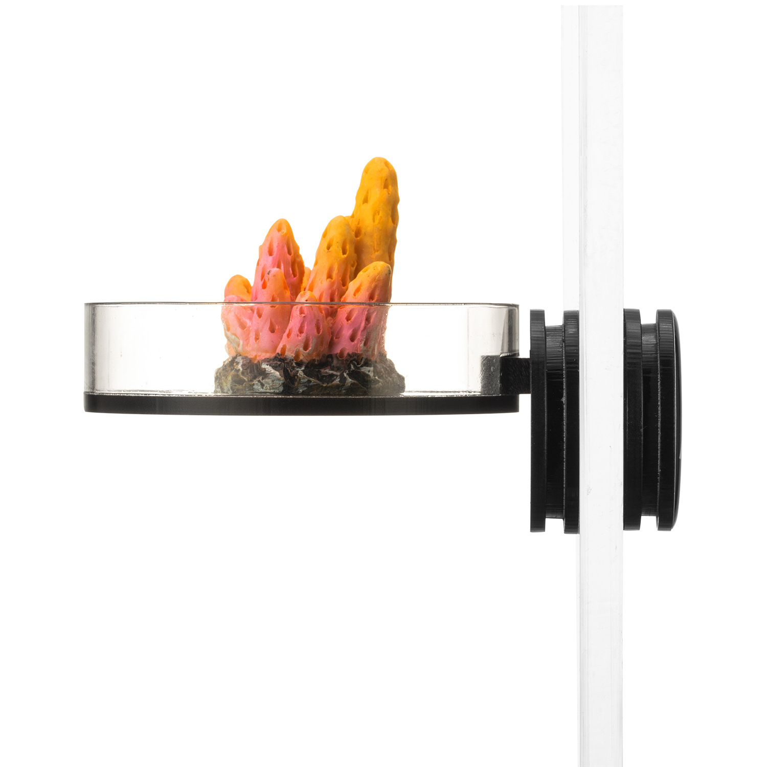 Marine Sources 70 mm zwart mag - Aquarium And Marine recensie en prijs